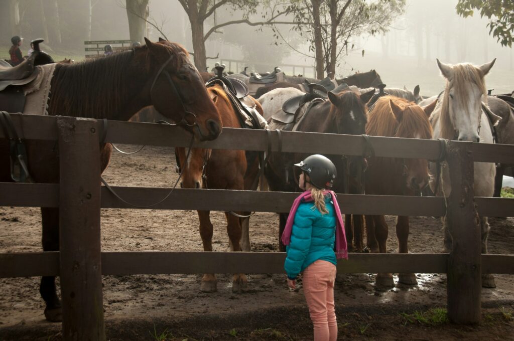 Equestrian Property