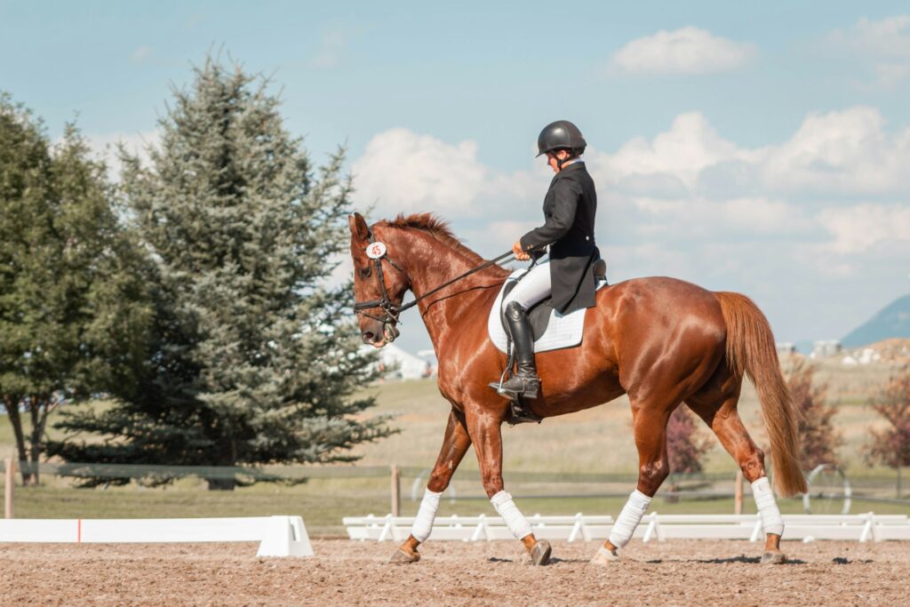 Equestrian Property